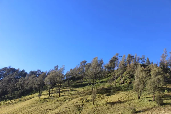 Atmosfera Lago Ranu Kumbolo Parque Nacional Bromo Tengger Semeru — Fotografia de Stock