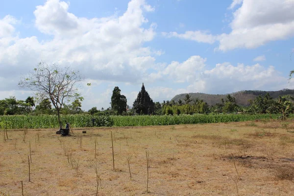 Sojiwan Tapınağı Yogyakarta Endonezya — Stok fotoğraf