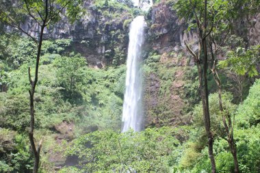 Coban Rondo Şelalesi, Malang Doğu Java, Endonezya