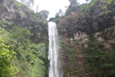 Coban Rondo Şelalesi, Malang Doğu Java, Endonezya