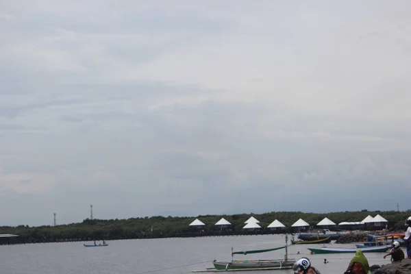 Hospedaje Hermoso Bosque Manglares Playa — Foto de Stock