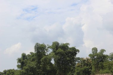 Ranu Pane Bromo Tengger Semeru Ulusal Parkı 'ndaki tarlaların atmosferi