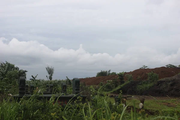 Атмосфера Рисовых Полей Сельской Местности — стоковое фото