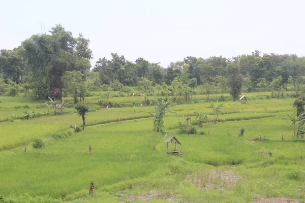 Kırsal alanlarda stok fotoğraflar, telifsiz resimler, görseller | Depositphotos