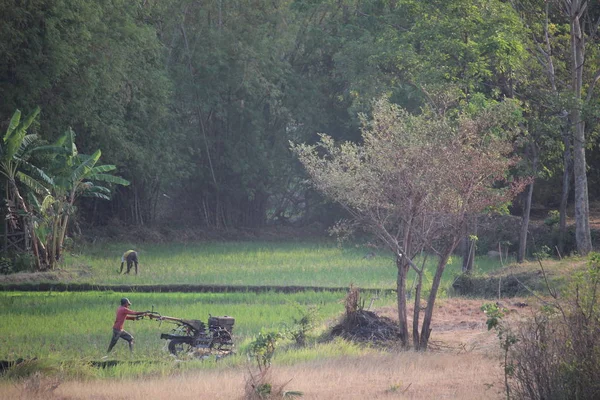 Jordbrukaren Plöjer Sin Åker Nära Skogen — Stockfoto