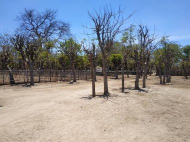 Doğu Java, Endonezya 'daki Gili Ketapang adasının atmosferi