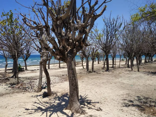 Doğu Java Endonezya Daki Gili Ketapang Adasının Atmosferi — Stok fotoğraf