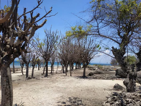 Atmosfera Ilha Gili Ketapang Java Oriental Indonésia — Fotografia de Stock