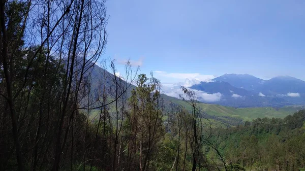 Die Schönheit Des Baluran Nationalparks Kleine Savanne Indonesien — Stockfoto