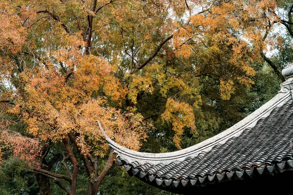 Syksyllä Suzhou Gardenin puistossa Kiinassa — kuvapankkivalokuva