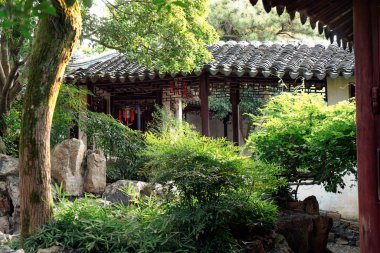 Suzhou, Çin parkında sonbahar