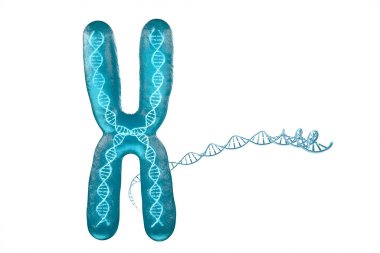 Chromosome with white background, 3d rendering. Computer digital drawing. clipart