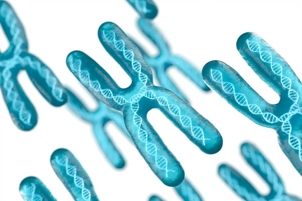 Хромосома Белым Фоном Рендеринг Цифровой Рисунок — стоковое фото