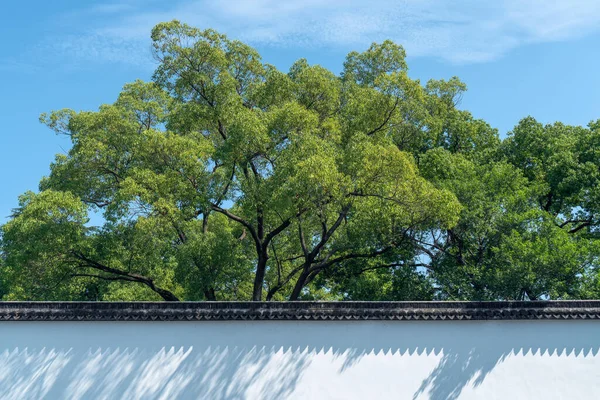 Muinainen Perinteinen Puutarha Suzhou Puutarha Kiinassa Kuva Suzhoussa Kiinassa — kuvapankkivalokuva