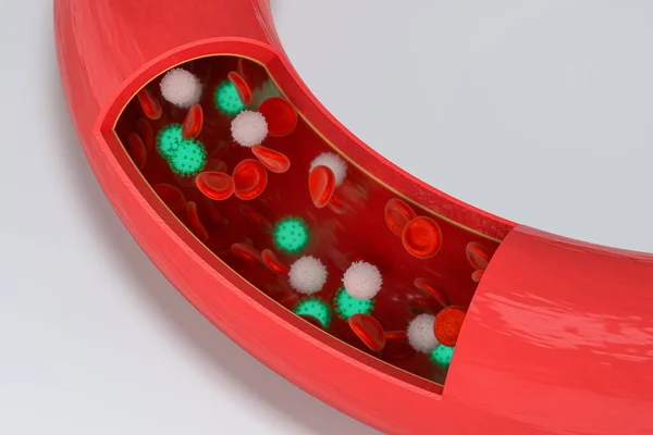 Virus Vaso Sanguíneo Con Glóbulos Rojos Blancos Renderizado Dibujo Digital —  Fotos de Stock