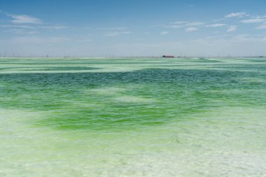 Yeşil salin gölü, doğal göl arka planı. Fotoğraf: Qinghai, Çin.