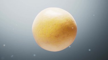 Yağ hücrelerinin yapısının bozulması, 3D görüntüleme.