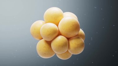 Yağ hücrelerinin yapısının bozulması, 3D görüntüleme.