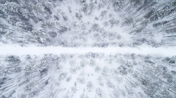 Widok z góry na chłodny śliskie drogi przechodzącej przez śnieg objętych lasu iglastego. — Zdjęcie stockowe