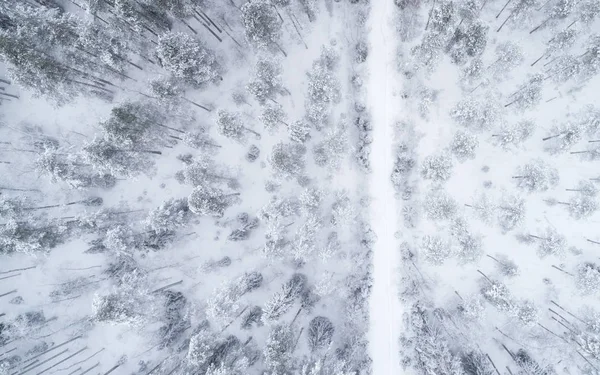 Bovenaanzicht op winterse weg door de sneeuw bedekt naaldhout bos. — Stockfoto