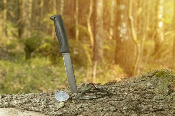 Knife, compass and flint on the stump in the forest.