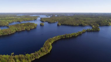 Güzel mavi göller ve Fin Ulusal Park Liesjarvi yaz yeşil orman havadan görünümü