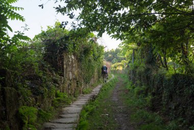 Yaşlı Hacı Camino de Santiago, İspanya