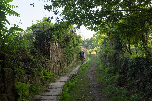 Yaşlı Hacı Camino de Santiago, İspanya