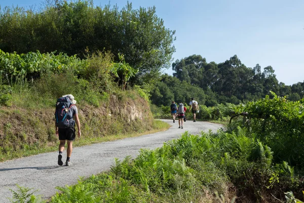 Genç hacılar Camino de Santiago, İspanya