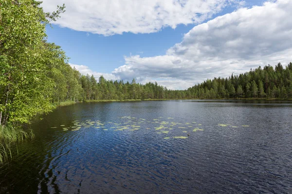 Lake with rocky shore. Blue sky. On the pine. Nature Of Finland.