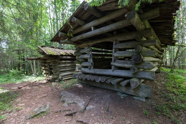 Stara drewniana stodoła w lesie w Finlandii. Piękny letni Las. — Zdjęcie stockowe