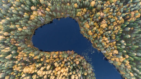 Vacker Höst Liten Sjö Mitt Skogen Fantastiska Färger Trädtopparna Uppifrån — Stockfoto