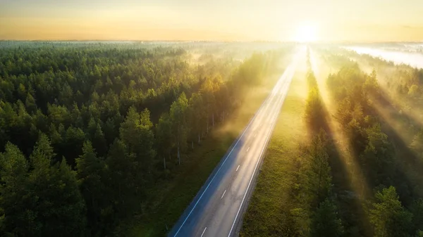 Finlandiya'da gün doğumunda güzel yaz ormanında yolun havadan görünümü. Mükemmel asfalt yol ve güzel yumuşak güneş ışığı, yeşil köknar ağaçları üst görünümü
