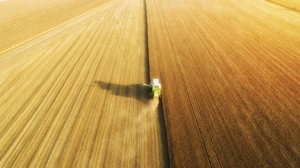 Vista Aérea Ceifeira Colheitadeira Colheita Trigo Belo Campo Trigo Pôr — Fotografia de Stock