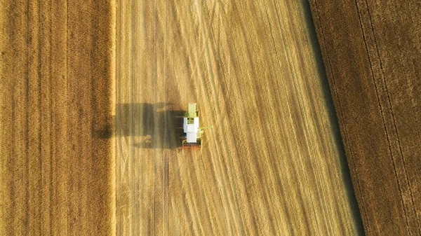 Sklizeň Pšenice Létě Zelený Sklízeč Pracující Terénu Zemědělský Stroj Sbírá — Stock fotografie