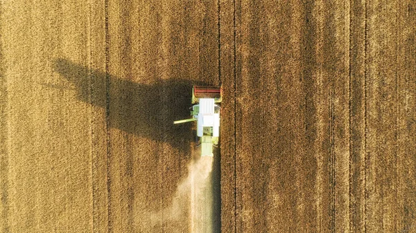 Vista Aérea Ceifeira Colheitadeira Colheita Trigo Belo Campo Trigo Pôr — Fotografia de Stock