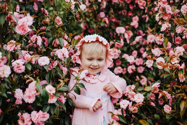 Pen liten jente i rosa kyse og rosa kjole i blomstrende busk av rosa kamelia på solrik vårdag – stockfoto
