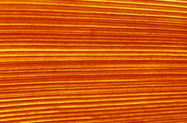 Hindistan cevizi palmiye kuru kabuğu dokusu.