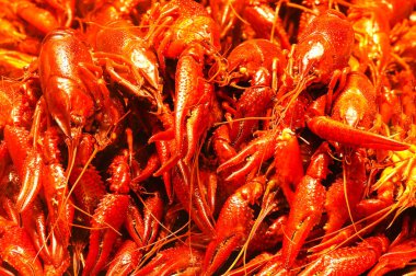 Kırmızı haşlanmış kerevit. İyi bir arka plan. Gıda.