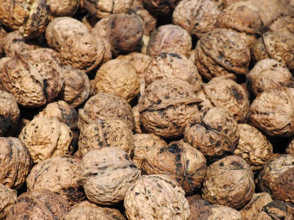 Ceviz. İyi bir arka plan. Gıda. Kurutulmuş meyve.