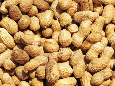  Yer fıstığı ya da yer fıstığı. Harika bir arka plan. Gıda    