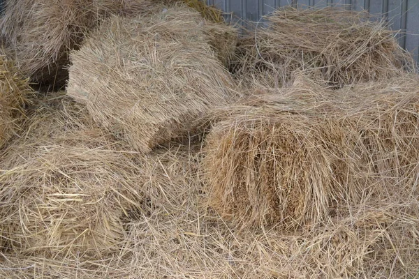 Many Bales Hay — Stock Photo, Image