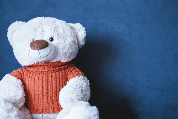 Mavi arka planda tüylü oyuncak ayı.