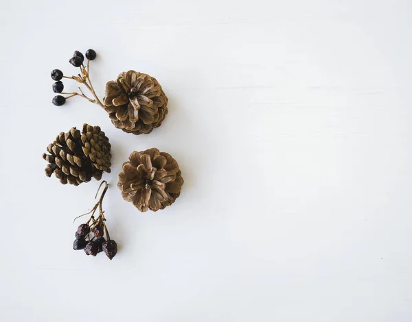 Doğal kahverengi kozalaklar ve beyaz ahşap arka planda kurumuş gül parçaları..