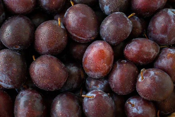 Fechar Ameixas Azuis Frescas Contexto Das Ameixas Frescas — Fotografia de Stock