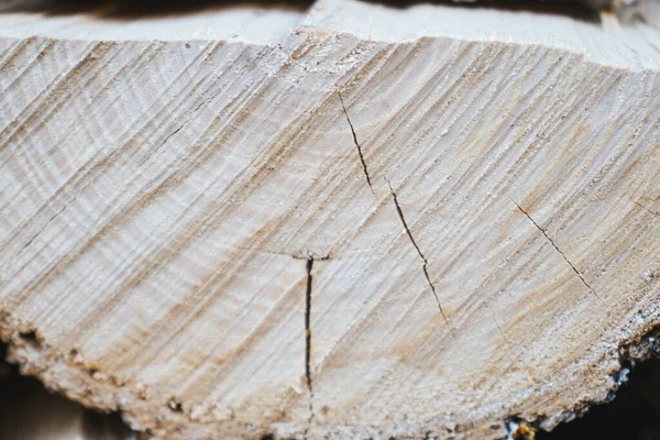 Kahverengi ahşap dokuya yakın çekim.