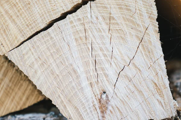 Kahverengi odun parçasına yakın çekim.