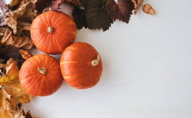 Beyaz ahşap arka planda balkabağı ve yaprakların üst görüntüsü.