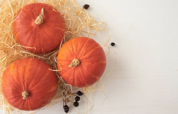 Beyaz arkaplanda balkabaklarının üst görünümü.