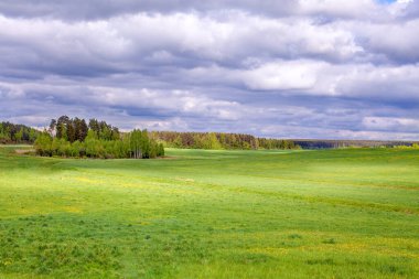 Gri bulutlu gökyüzü ve yeşil alanlar